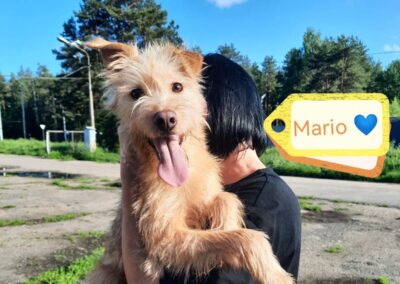 Reserved Mario – smallish medium-7 months old boy-arrival 13 June