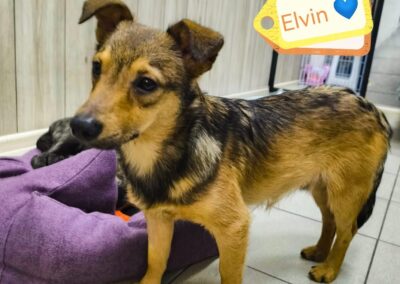 Reserved Elvin-small size boy- 8-9 months old- arrival July,18