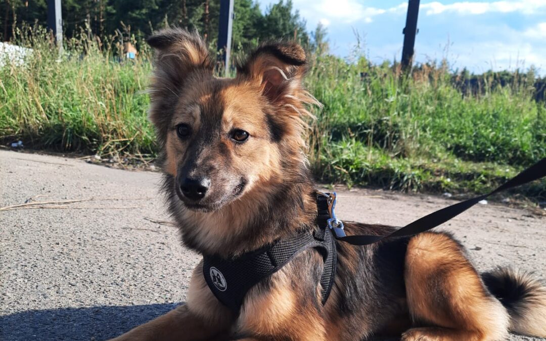 Lina- 9 month-old girl – lower-medium