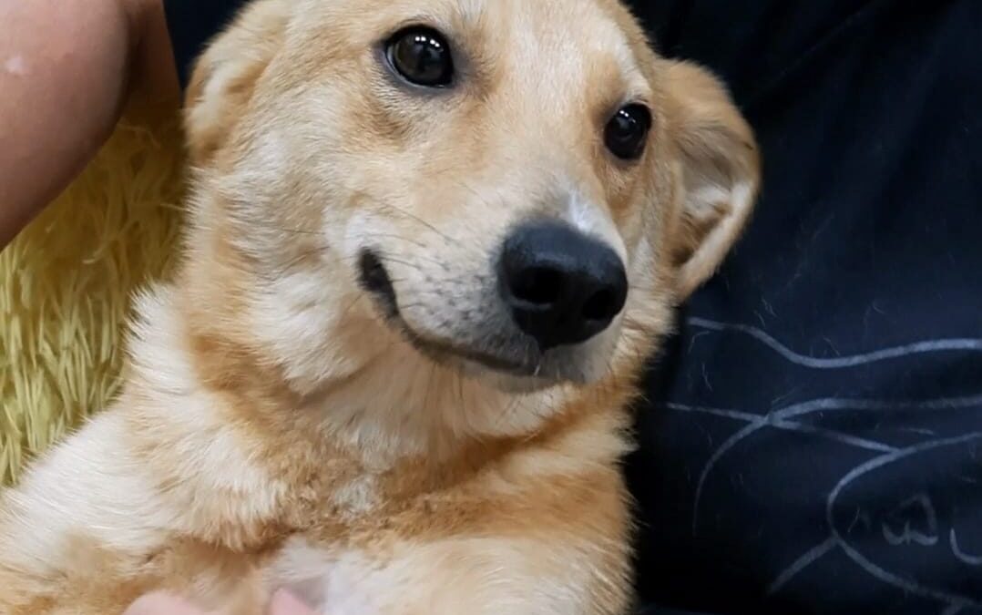 Lessy-9-month old- smallish-medium-sized girl