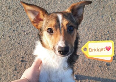 Resrved: UK Based (Lincoln LN1 ): Bridget- 8-9 months old girl- small size