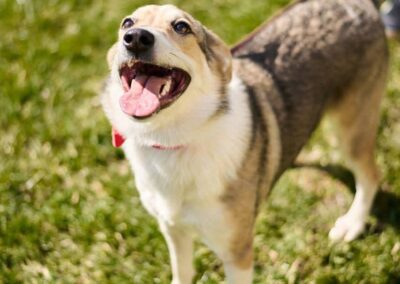 UK Based (Wakefield, WF3):Nina – 1year-old – upper-medium girl