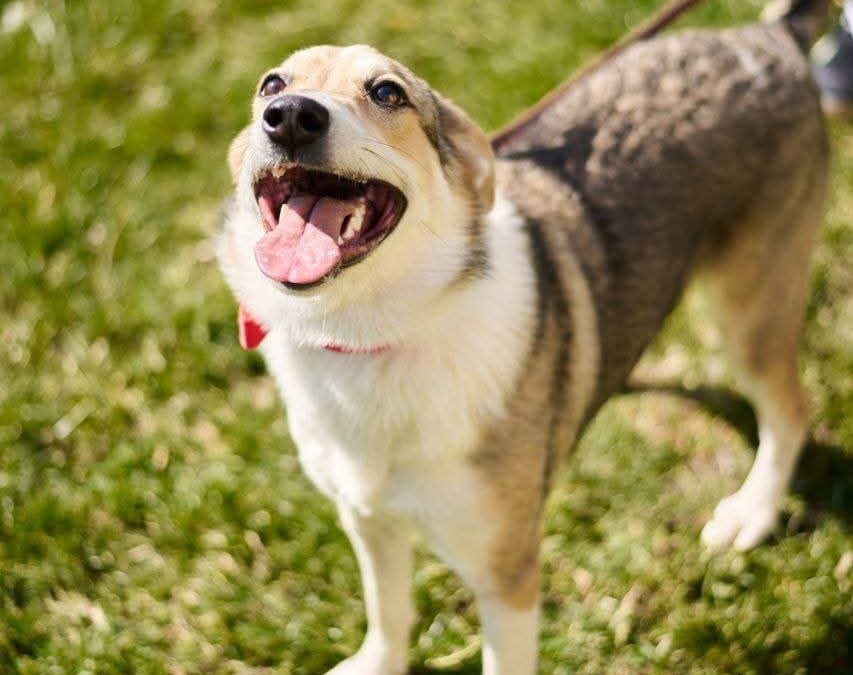 UK Based (Wakefield, WF3):Nina – 1year-old – upper-medium girl