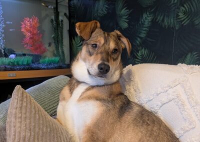 Reserved: UK Based: Diana (Wakefield WF5)- sweet and social  8 month old girl- medium