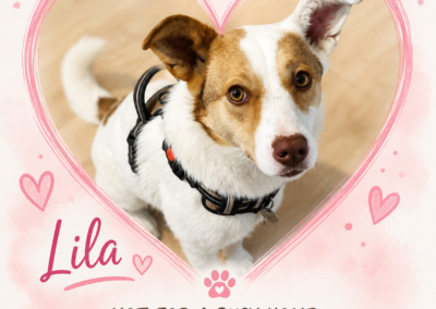 UK Based (Nottingham NG5):Lila -18-month-old low-to-medium-sized girl- around knee height