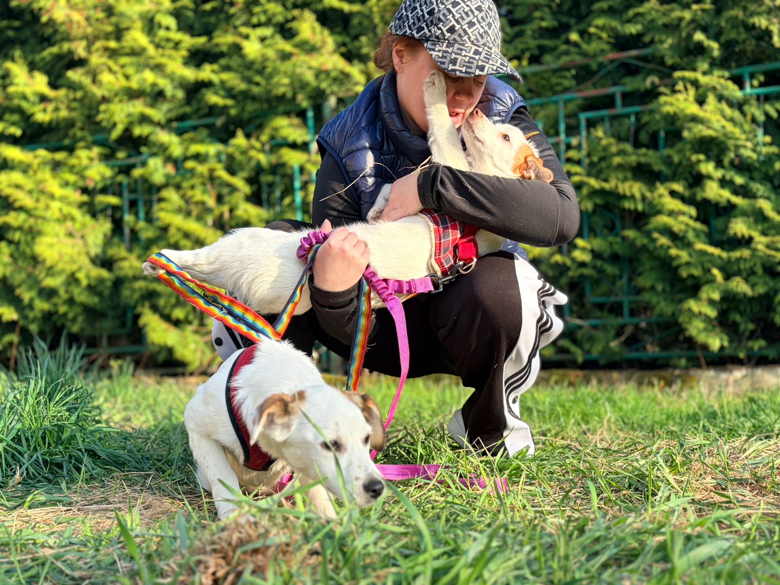 Aisy & Basia -7.5-month-old small girls- Ukraine war dog-arrival 26 ...