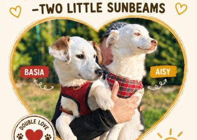 Aisy & Basia -7.5-month-old small girls- Ukraine war dog-arrival 26 June