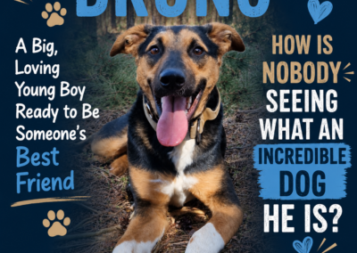 UK Based (Surrey GU22 ): Bruno- 15 month-old boy- Large size-Reduced Adoption fee