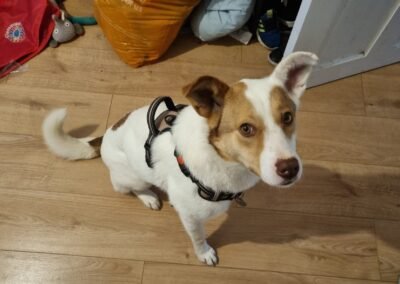 Reserved: UK BASED: Located Nottingham NG5:Lila -19-month-old low- medium-sized girl- (to the knee)