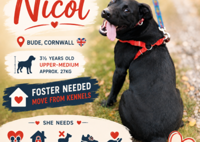 URGENT:  UK Based (Cornwall):Nicol- 3-year-old girl-upper-medium size- REDUCED FEES