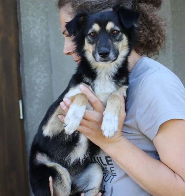 India -2-year-old small girl -a heart overflowing with love- Ukraine war dog-arrival 19 August