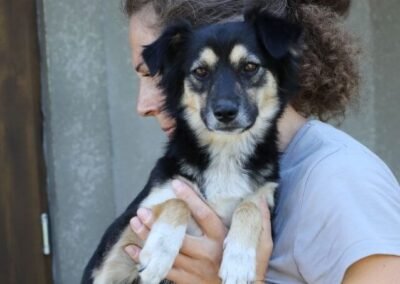 India -2-year-old small girl -a heart overflowing with love- Ukraine war dog-arrival 19 August