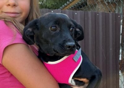 Reserved: Liana – 1-year-old small girl – Ukraine war dog – arrival 18 September