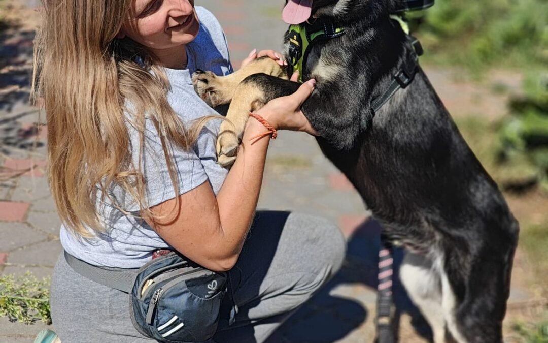 Tobik – 6.5 months old, medium puppy – Ukraine war dog – arrival 2 October